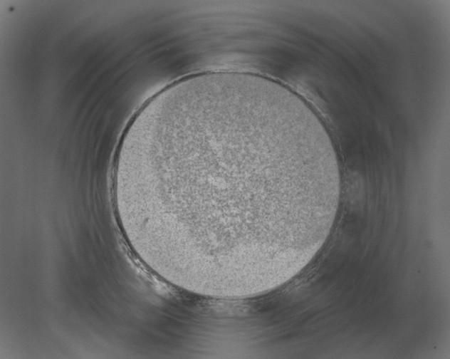 X0000080720856200701121842