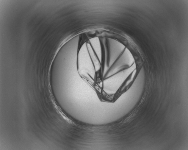 X0000080720858200701121842