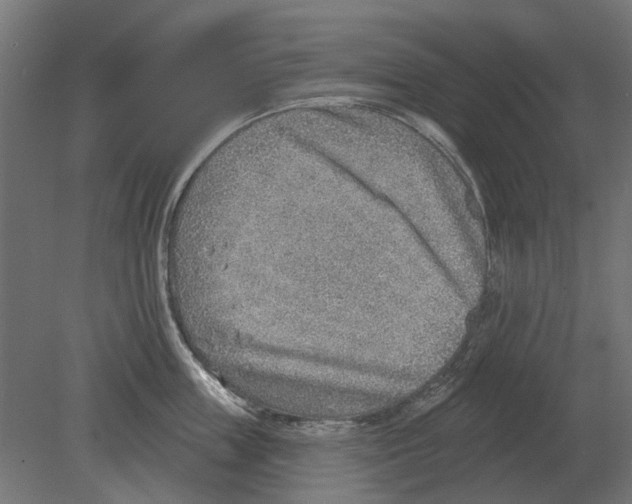 X0000080720859200701121842