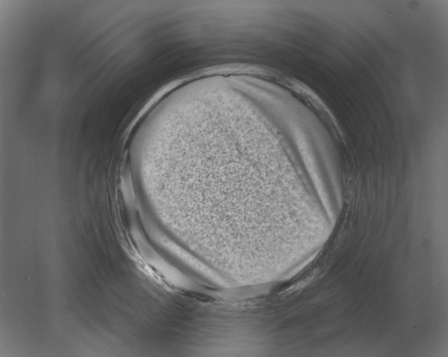 X0000080720860200701121842