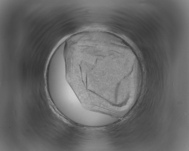 X0000080720864200701121842