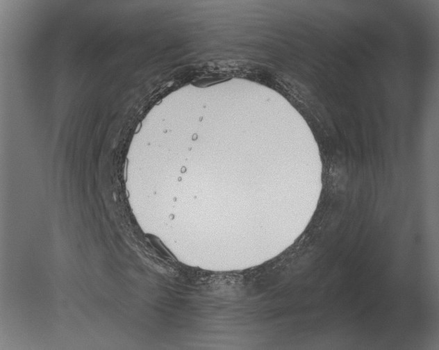 X0000080720865200701121841