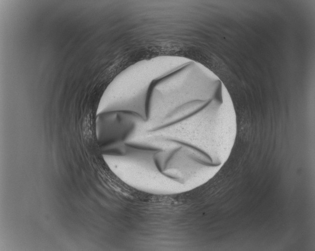 X0000080720866200701121841