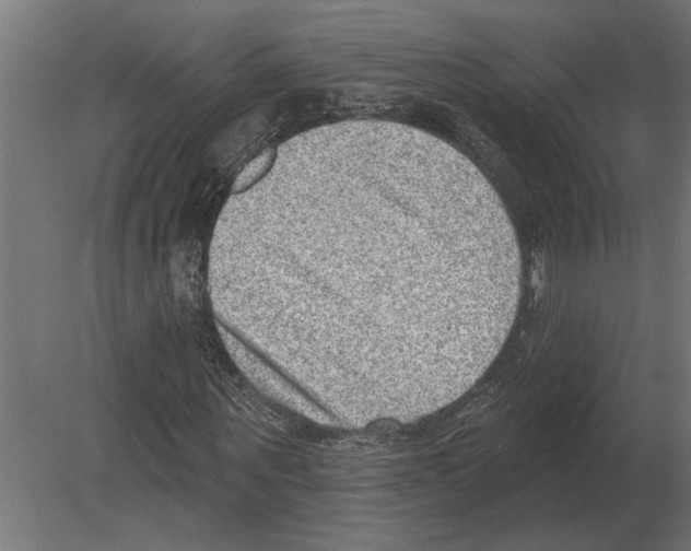 X0000080720867200701121841