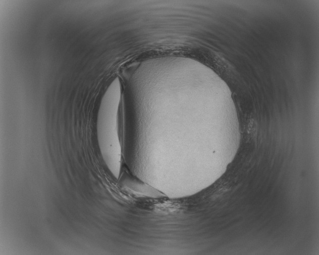 X0000080720868200701121841