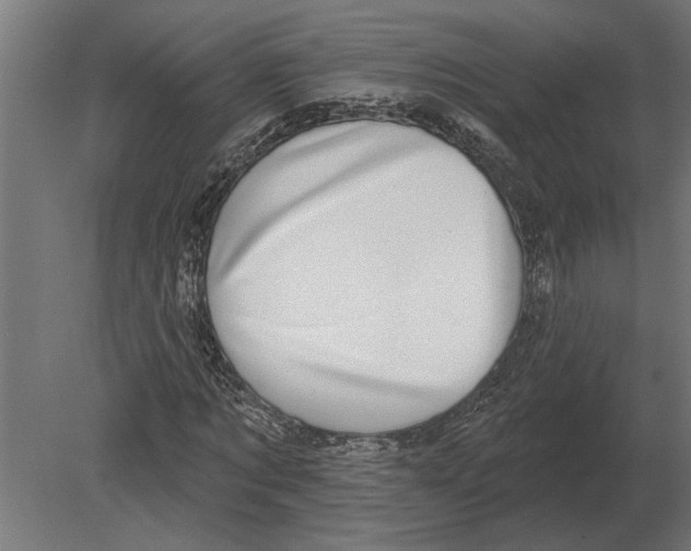 X0000080720869200701121841