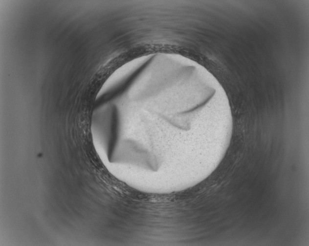 X0000080720870200701121841