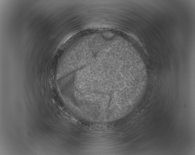 X0000080720871200701121841