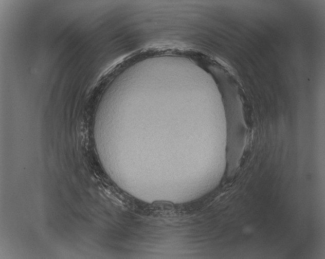 X0000080720872200701121841