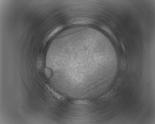 X0000080720874200701121841