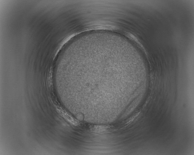 X0000080720875200701121841