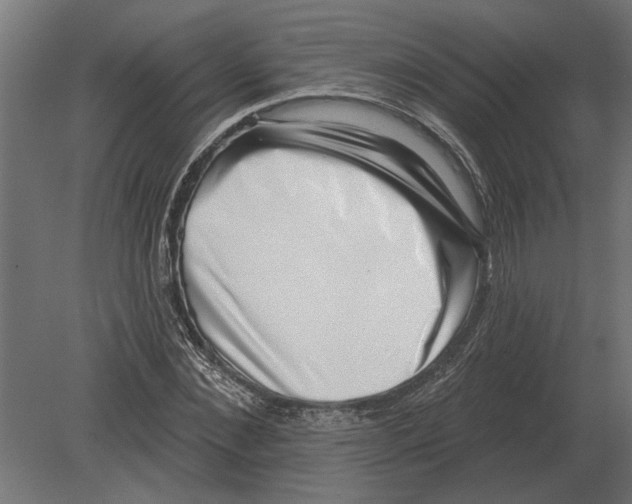 X0000080720876200701121841