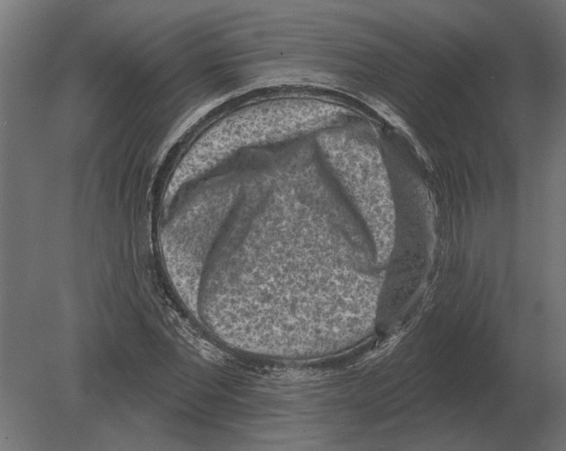 X0000080720877200701121841