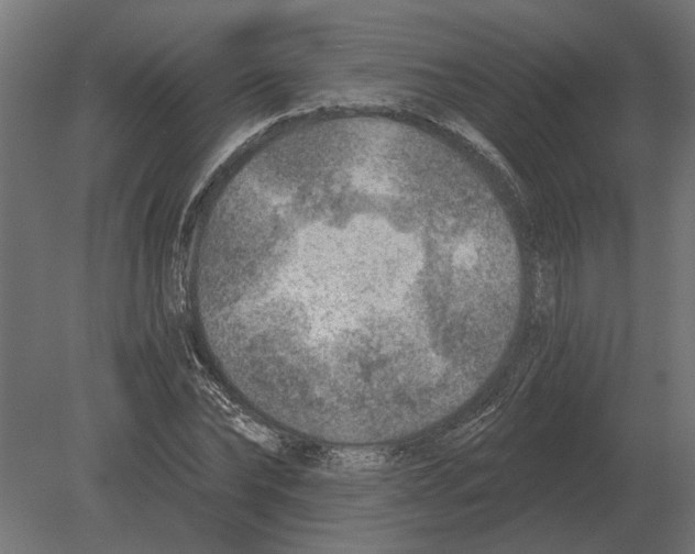 X0000080720878200701121841