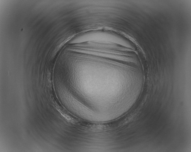 X0000080720881200701121841