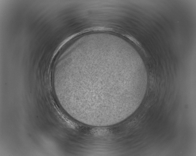 X0000080720886200701121841