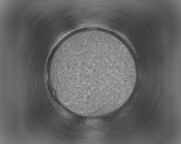 X0000080720887200701121841