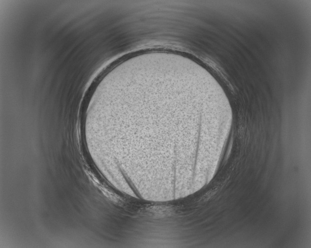 X0000080720888200701121841