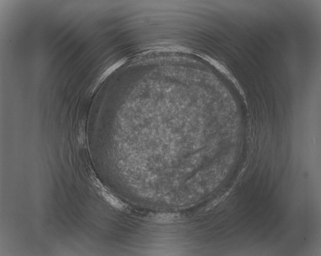 X0000080720889200701121841