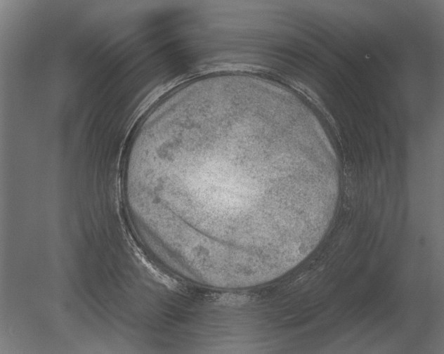 X0000080720890200701121841