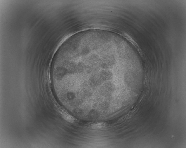 X0000080720891200701121841