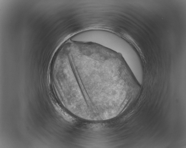 X0000080720892200701121840