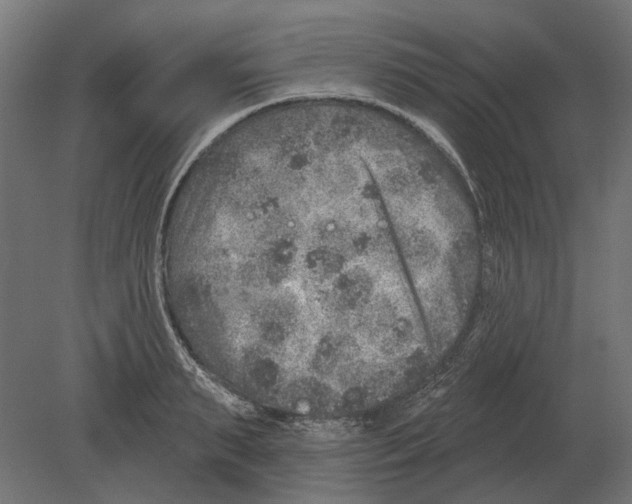 X0000080720895200701121840