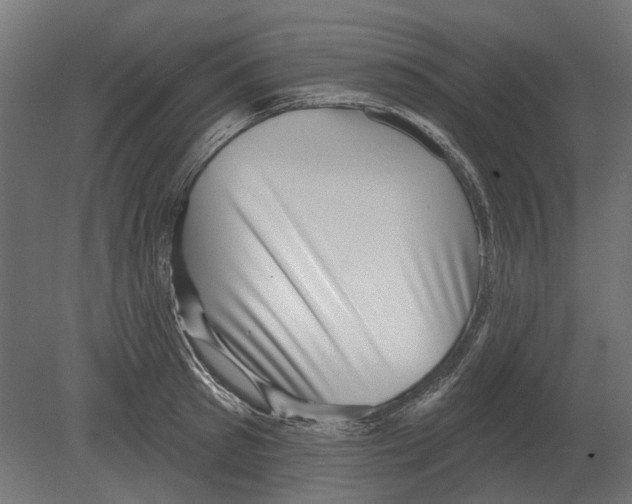 X0000080720897200701121840