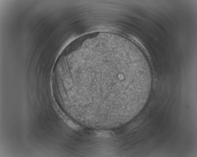 X0000080720899200701121840