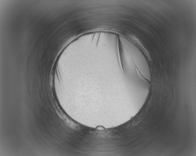 X0000080720900200701121840