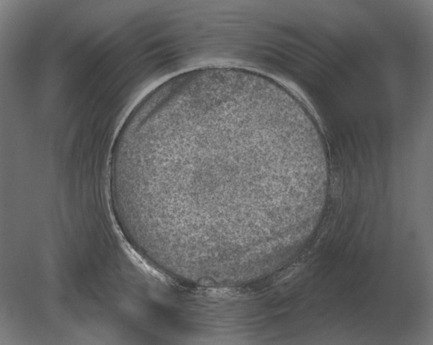 X0000080720903200701121840