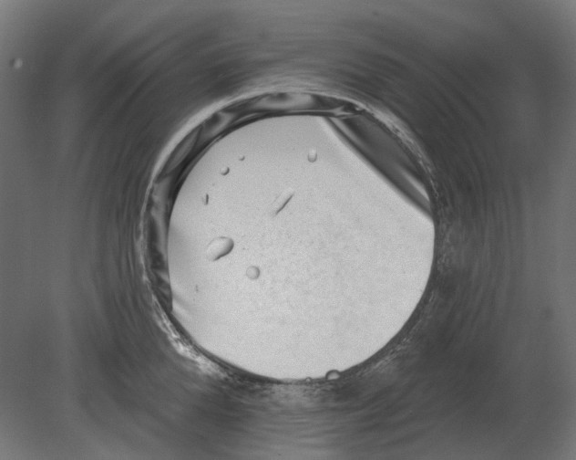 X0000080720904200701121840