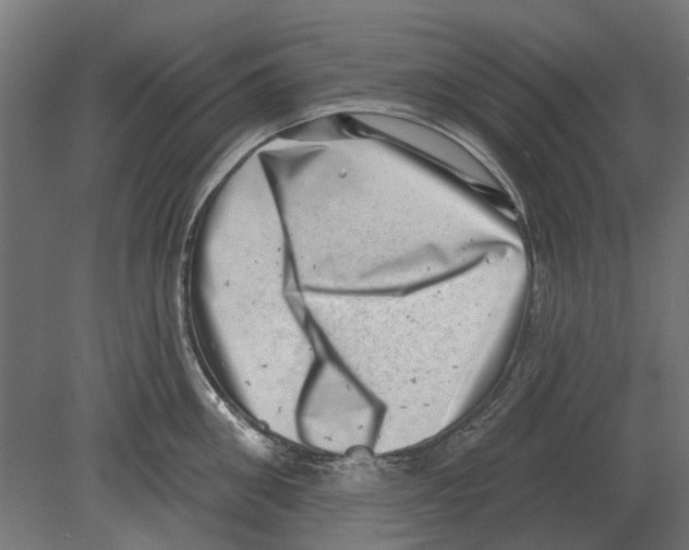 X0000080720906200701121840