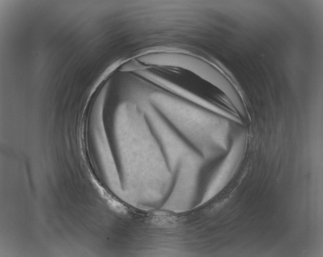 X0000080720909200701121840