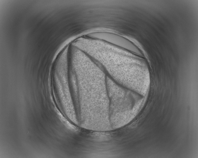 X0000080720910200701121840