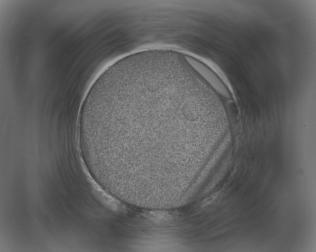 X0000080720911200701121840