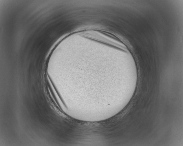 X0000080720912200701121840