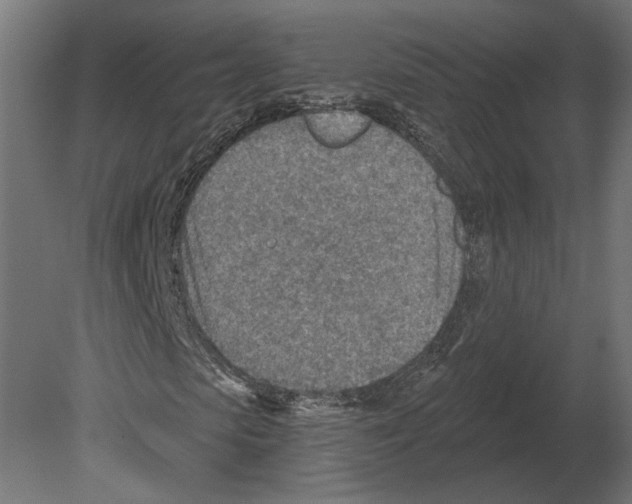 X0000080720913200701121839