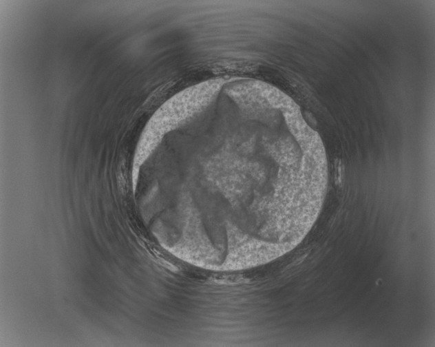 X0000080720915200701121839