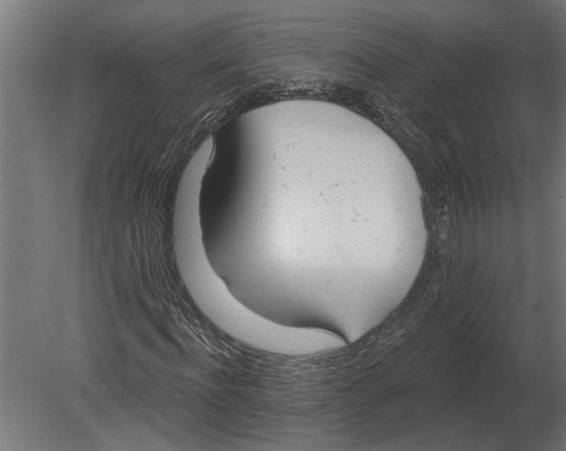 X0000080720916200701121839