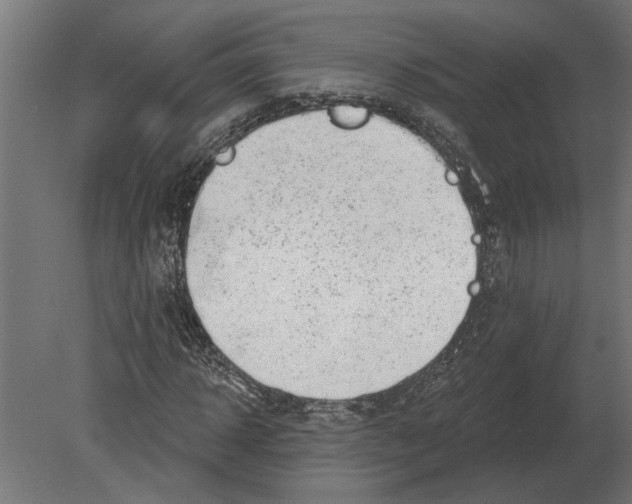 X0000080720918200701121839