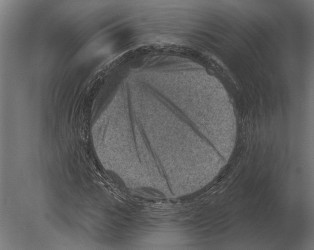 X0000080720919200701121839