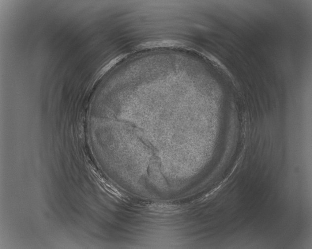 X0000080720921200701121839