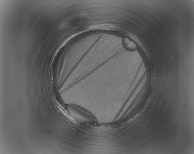 X0000080720923200701121840