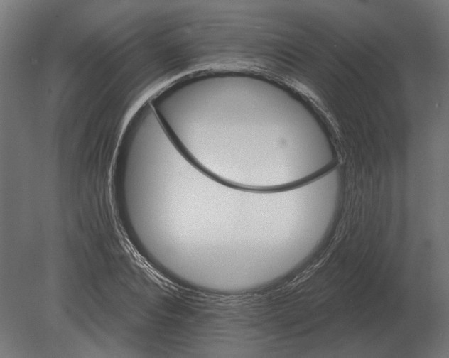 X0000080720928200701121840