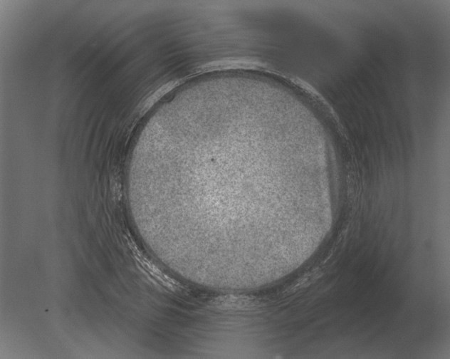 X0000080720929200701121840