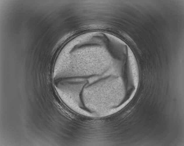 X0000080720930200701121840