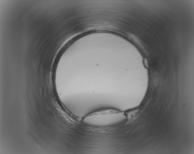 X0000080720932200701121840