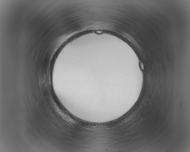 X0000080720934200701121840