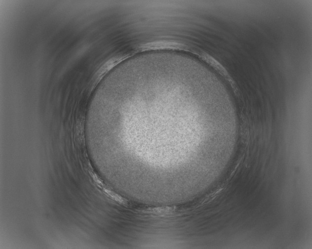 X0000080720937200701121840